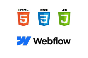 Code vs. No-Code Portfolio Comparison