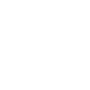 Palmer Spence Logo